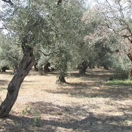 Palirria & מלון דירות 2*