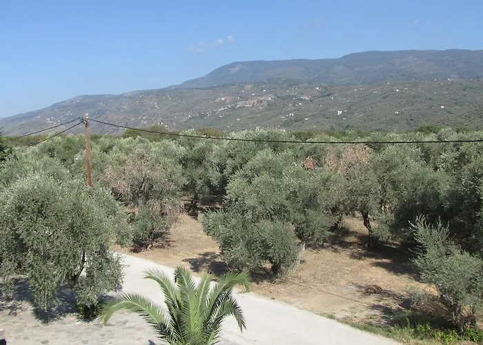 Palirria & 2* بلاك كالا