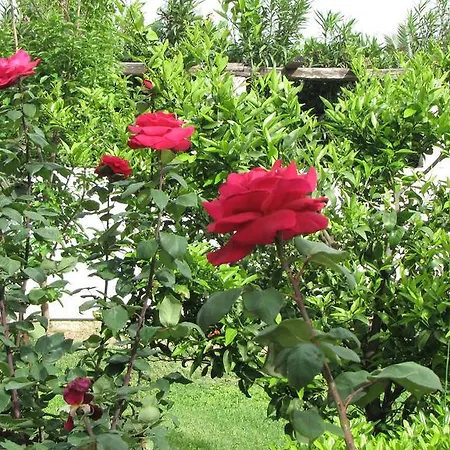 Palirria & 2* Кала-Нера