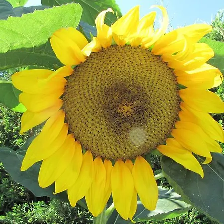 Palirria & Кала-Нера