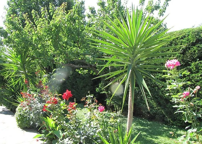 Palirria & Aparthotel