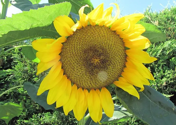 Palirria & Kala Nera