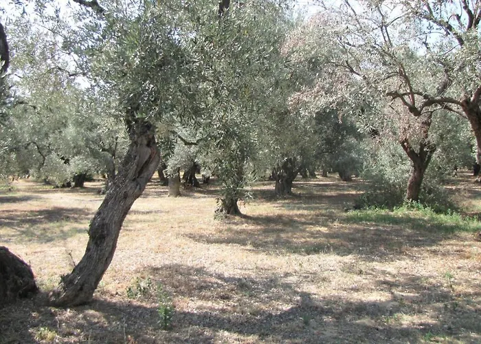 Palirria & Aparthotel 2*